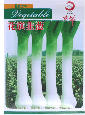 花旗韭葱种籽蒜苗大蒜胡葱洋香葱