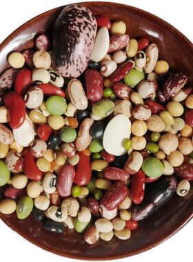 精选20种杂粮豆子豆类组合