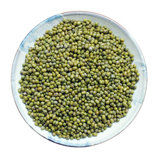 绿豆新货 农家自产小绿豆五谷杂粮 绿豆糕/饼/汤材料笨绿豆2斤