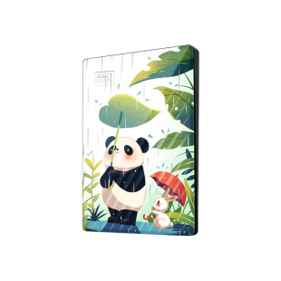 WD西部数据my passport移动硬盘手机电脑机械加密可定制图案/logo