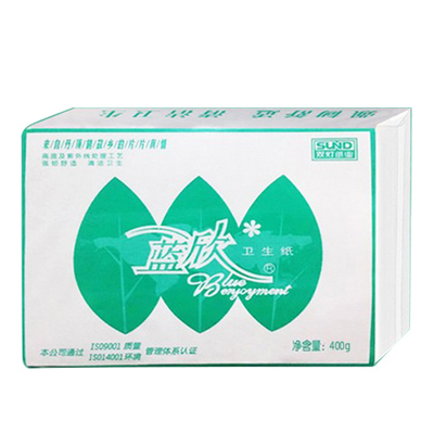 双灯蓝欣400克平板卫生纸厕纸