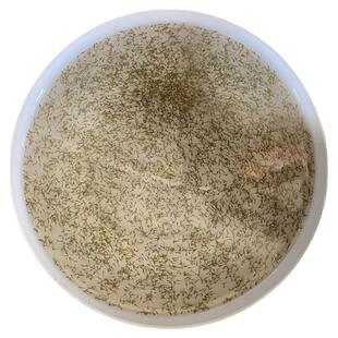 水花鱼苗翘嘴石斑丁桂鱼马口鱼土鳞泥鳅银鳕笋壳黄鳝黄骨鱼水花苗