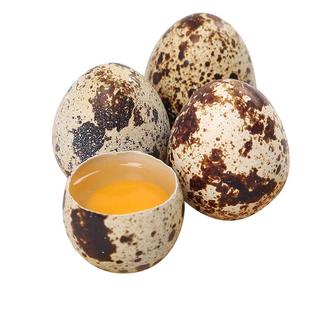 神丹新鲜鹌鹑蛋50枚宝宝营养辅食农家鹌鹑小蛋