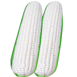 寿禾三保白甜糯玉米种子高产四季播白糯玉米非转国审农家超甜种籽