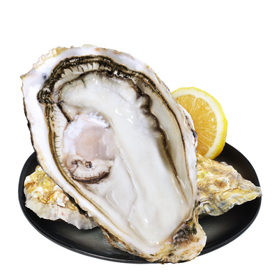 贝司令鲜活生蚝5斤|超1000人收藏