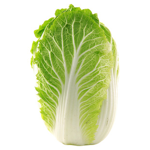 新鲜黄心大白菜小白菜小青菜可做辣白菜酸菜包心菜黄心菜抱头白