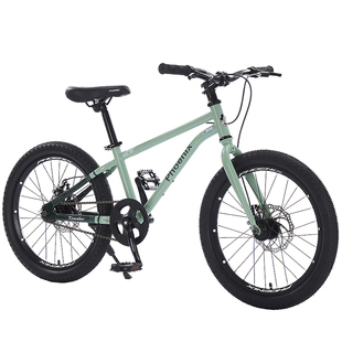 上海凤凰儿童自行车女孩青少年中大童男孩山地变速小学生20寸单车