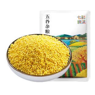 七彩纳沃大黄米新货农家黄大米五谷杂粮新糯黄小米粮食粗粮粘米粥
