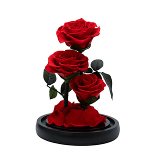 Joyflower永生花玫瑰花玻璃罩送女生朋友女孩生日礼盒情人节礼物