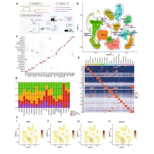 sci生信分析TCGA GEO生信数据挖掘2-5分代做单细胞转录组全套服务