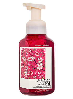BBW抗菌保湿泡沫洗手液259ml