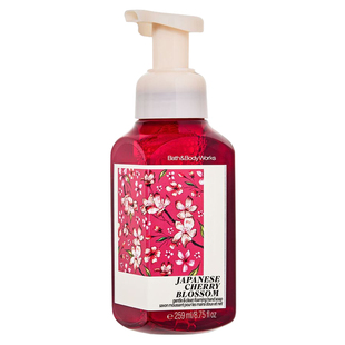 BBW温和泡沫抗菌保湿洗手液259ml香氛手部清洁露 Bath&body works