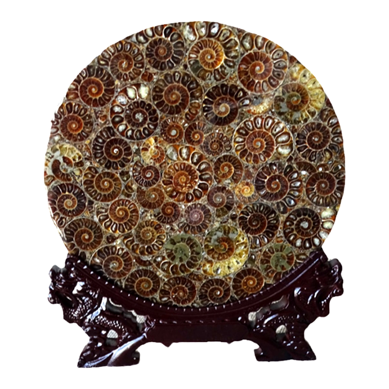 水玉冰魄天然菊花螺盘开店摆件
