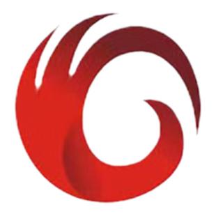 金银花    国强中药饮片独立小袋装中草药中药材药厂直销