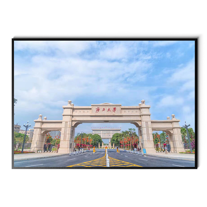 广西省名校师范科技民族大学校园风光校训宿舍相框合金装饰墙挂画