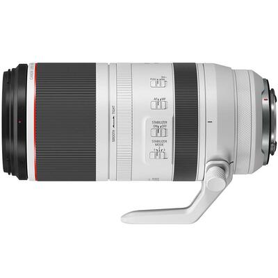Canon佳能RF100-500mm F4.5-7.1 L IS USM超远摄变焦镜头打鸟微单