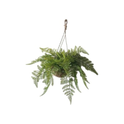 仿真绿植绿植吊篮蕨类款