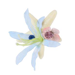 海洋系列碎发夹永生花海星贝壳浆果头饰海边旅游度假拍照发卡发饰