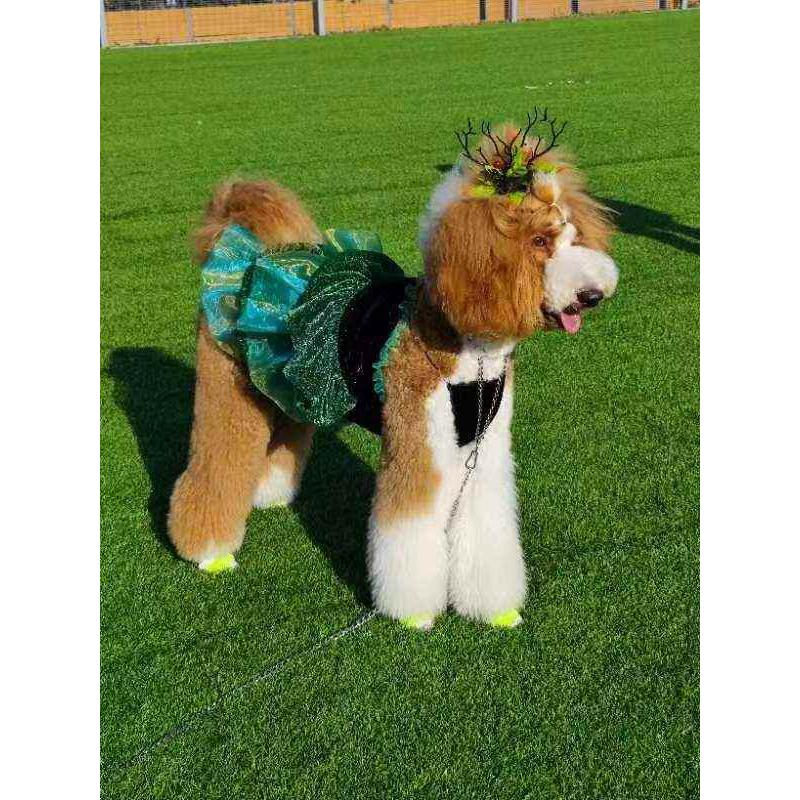 宠物猫狗蛋糕裙纸样吊带裙子夏季猫咪泰迪比熊博美法斗衣服图纸样