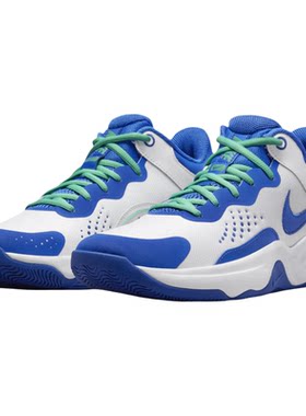 NIKE/耐克男鞋FLY.BY MID 3 新款实战缓震运动篮球鞋DD9311-102