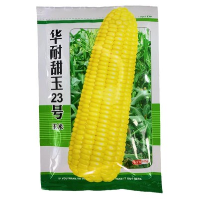 华耐甜玉23号水果玉米种子超甜