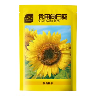 史丹利食用向日葵种子四季播种阳台庭院盆栽种植观赏瓜子葵花花籽