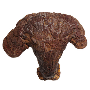 三京堂松杉灵芝长白山整枝木灵芝红赤芝片林芝250g买3送1