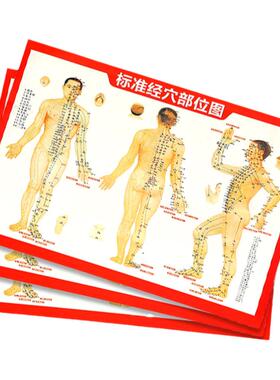 穴位图艾灸取穴参考图