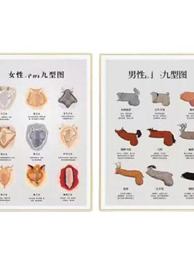 生殖九型卡通海报挂画男性丁丁