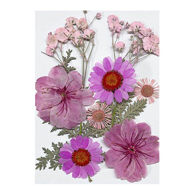 树叶包亲子手工干花材料包压花