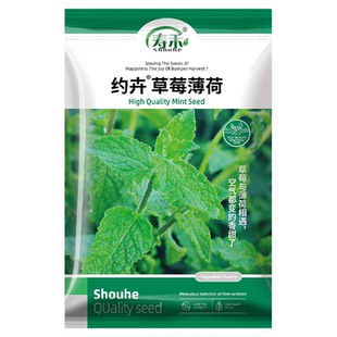 草莓薄荷种子种籽可食用室内植物驱蚊草阳台盆栽花卉薄荷苗种孑