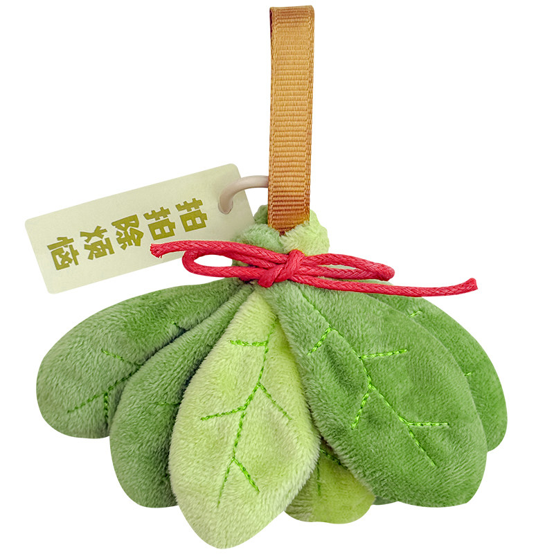 柚子叶挂件去霉运消烦恼