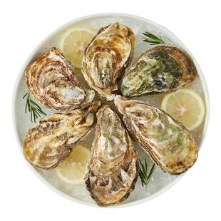 乳山生蚝鲜活5斤整箱批发特大海蛎子牡蛎新鲜活生蚝刺身商用生鲜