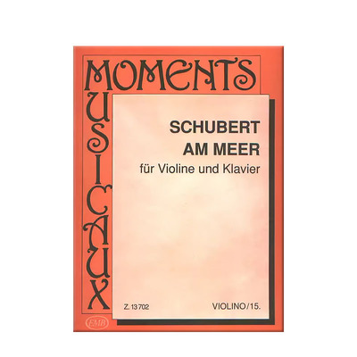 舒伯特在海边小提琴和钢琴