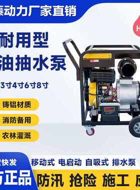 YT60DPE/YT80DPE柴油抽水泵电启动移动式防汛应急抢险排水泵伊藤