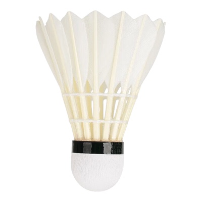 RSL 亚狮龙 羽毛球亚狮龙5号球 飞行稳定耐打专业比赛正品