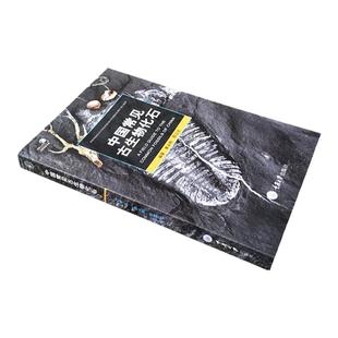 好奇心书系 中国常见古生物化石 唐永刚 如何寻找化石 化石的收藏与保管 中国*古生物化石群 自然科普书籍 重庆大学出版社