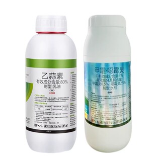 甲霜恶霉灵乙蒜素死苗烂根立枯病专用药根腐姜瘟病蔬菜农药杀菌剂