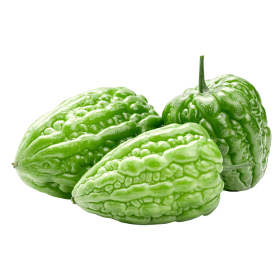 大顶苦瓜种籽春秋季苹果苦瓜子