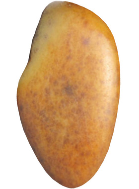 吊坠原石挂件手串新疆和田玉籽料