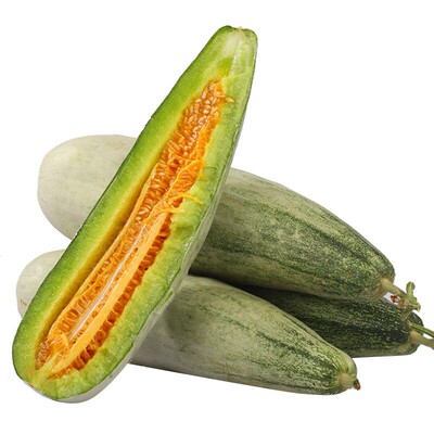 羊角脆甜瓜种子蜜苗早熟高产春季