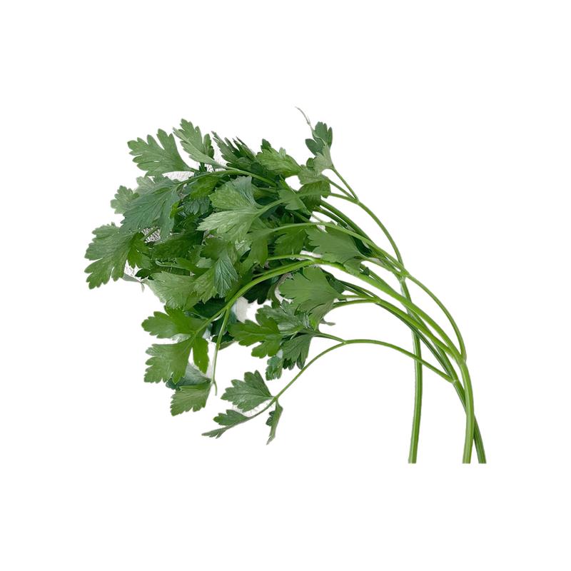 新鲜意大利亲巴西里可食用香料