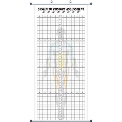 挂式健身私教简约体姿瑜伽背景墙