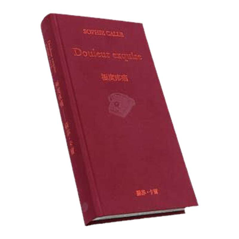预售 极度疼痛 Douleur exquise 港台原版 苏菲卡尔 Sophie Calle 法国当代艺术教母 大家出版 摄影作品集 精装