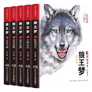 全套5册 狼王梦沈石溪正版动物小说画本 小学生三四五六年级课外书必读8-12岁阅读书籍儿童文学经典书目插图版忠犬八公夏洛的网