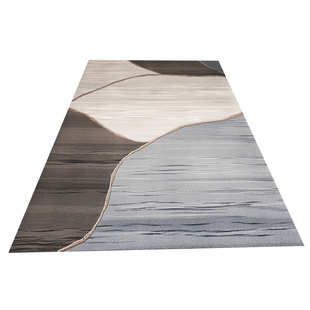 家用地毯客厅2025新款轻奢高级感地垫大面积全铺卧室床边毯可擦洗