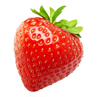 方震红色草莓种子春季播种蔬菜种子新手小白盆栽食用草莓种籽