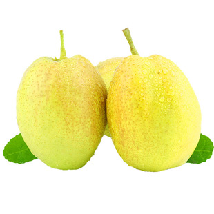 正宗新疆库尔勒香梨当季水果新鲜母梨子整箱顺丰包邮薄皮年货节