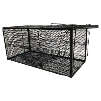 爱心救助笼鸽子天落笼新款捕猫笼