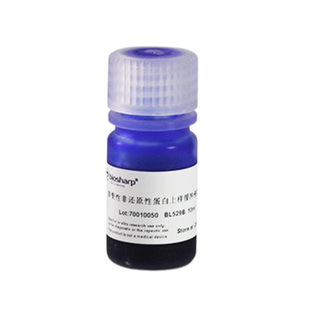 白鲨Biosharp BL529A  BL529AB 5*蛋白上样缓冲液（非变性非还原型）5X Native Gel Sample Loading Buffer